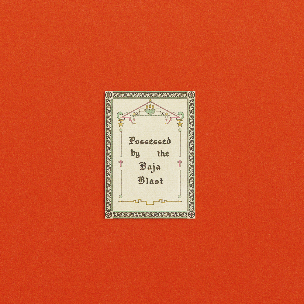 Possessed Art Print